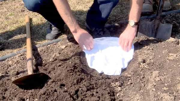 İç çamaşırlarını  neden toprağa gömüyorlar? İlginç test