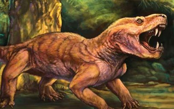 Permiyen dönemine ait 2 yırtıcı tür keşfedildi