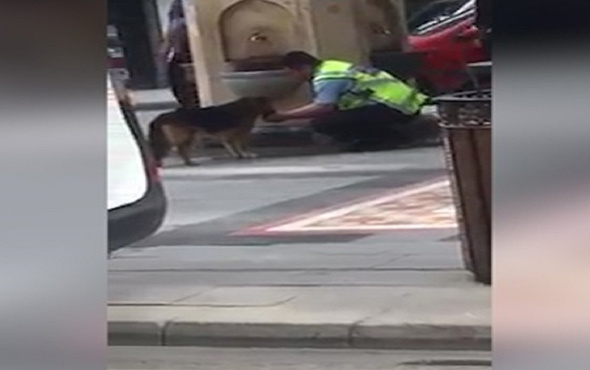 Elleriyle sokak köpeğine su içiren polis