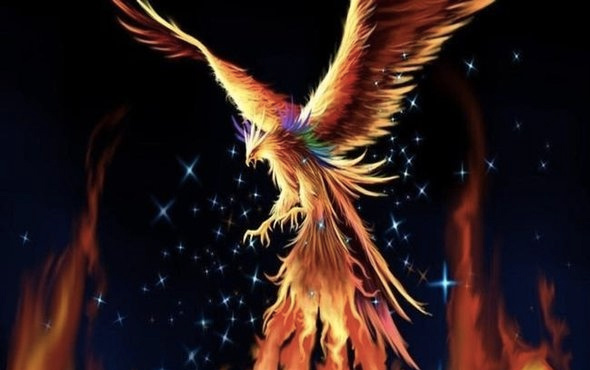 Zümrüdü Anka Kuşu anlamı ne Simgurg nedir Phoenix ilginç hikayesi