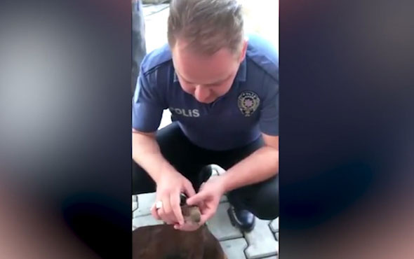 Serçeyi kalp masajıyla hayata döndüren kahraman polis