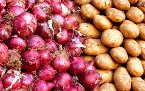 Patates ve soğan fiyatları 1-1,5 liraya düşecek