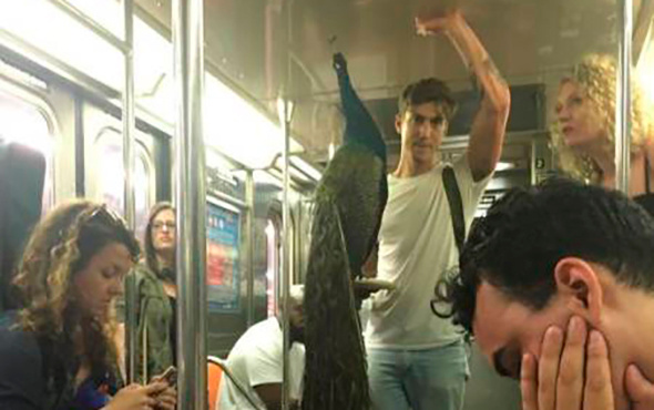 Metrolardan en çılgın insan fotoğrafları!
