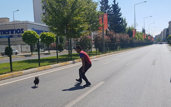 Karayolunda tavuk kovaladı