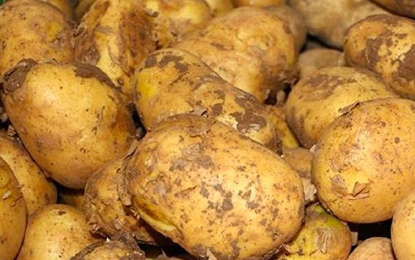 Suriye'den ithal edilen patates için Zeybekçi'ye sert tepki
