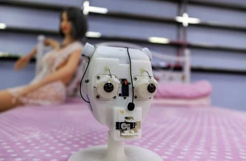 Fabrikadan yatak odasına cinsel ilişki robotlarının ürkütücü serüveni