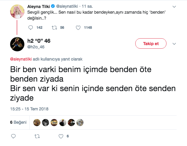 Aleyna Tilki Twitter'dan paylaştı takipçileri ne olduğunu anlamadı