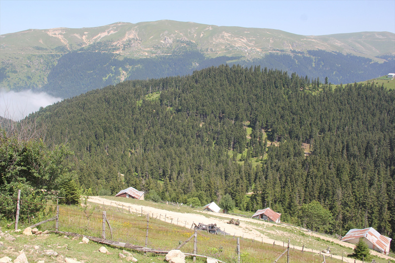 PKK'ya Karadeniz'de büyük darbe