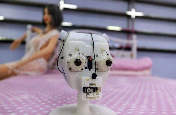 Seks robotlarına yapay zeka ekleniyor