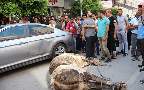 Şehri birbirine kattı: Böyle yakalandı!