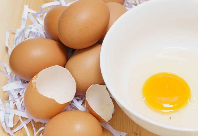  15 gün yumurta beyazı ile beslenilirse ne olur?