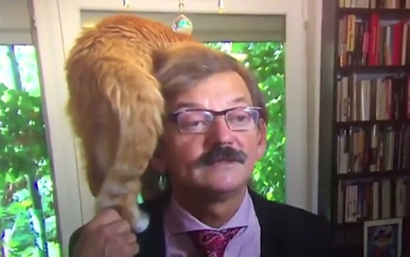 Röportaj sırasında kedisinin gazabına uğrayan tarihçi
