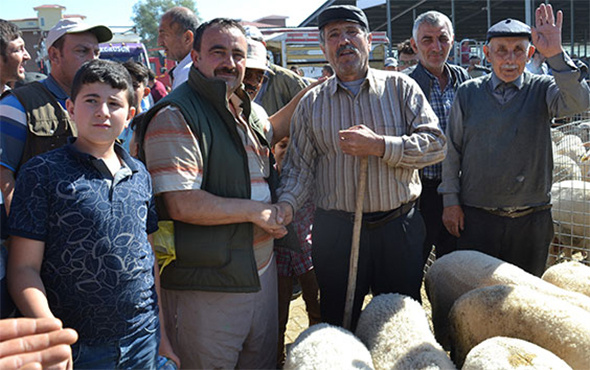 Kurban pazarında bayram hareketliği başladı!