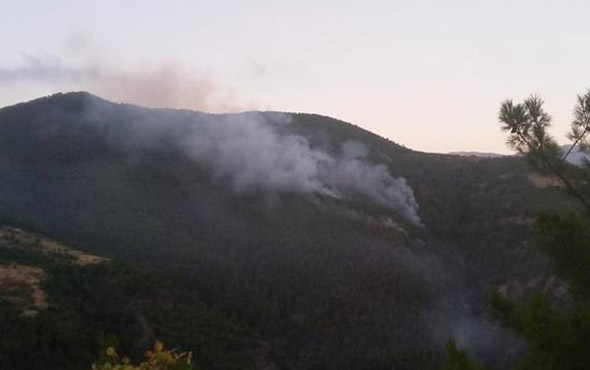 Hatay'da orman yangını 