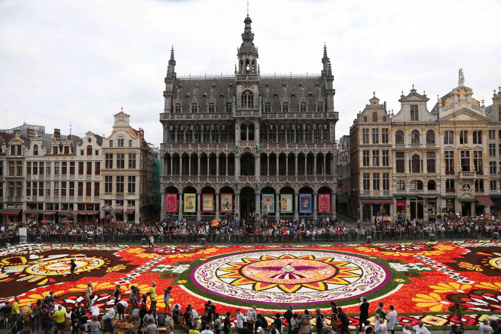 Brüksel'de dev çiçek  halı sergilenmeye başlandı