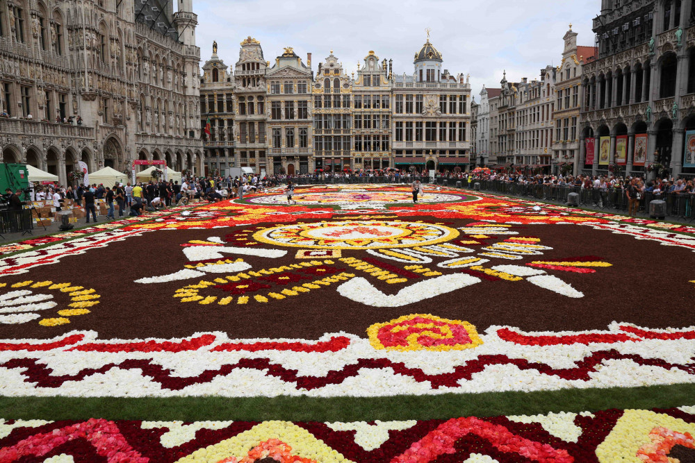 Brüksel'de dev çiçek  halı sergilenmeye başlandı