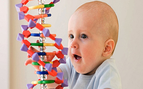 Bebeklerin genetiği ile oynanmasına onay verdi!
