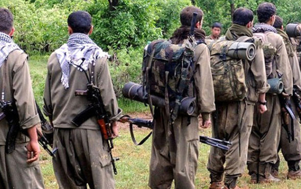 PKK'nın sözde bölge sorumlusu ele geçirildi