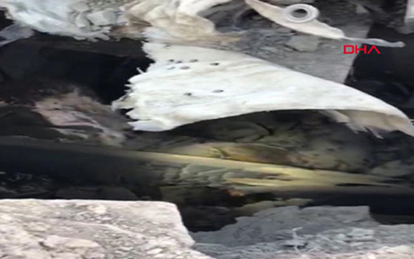 Özel Harekât polisini şehit eden 2 terörist, bu mağarada öldürüldü