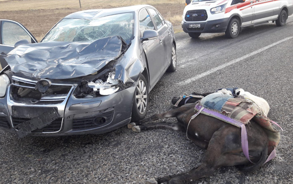 Kırşehir'de otomobil eşeğe çarptı! 3 kişi yaralandı