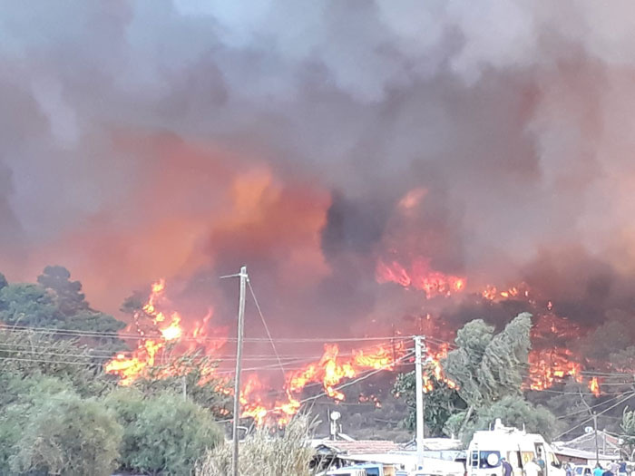 Antalya'da orman yangını kırmızı alarm verildi! Evleri tehdit ediyor...