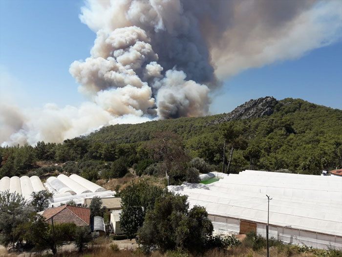 Antalya'da orman yangını kırmızı alarm verildi! Evleri tehdit ediyor...
