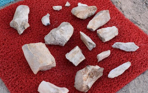 Çoban Kayseri'de bunu buldu: 10 milyon yaşında!