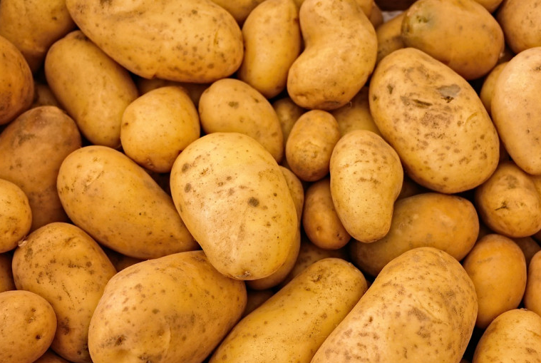 Türkiye'de ilk 'yerli ve milli' renkli patates üretildi!