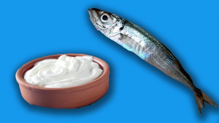 Balık ve yoğurt  beraber yenince zehirler mi?