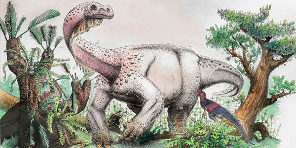 Güney Afrika'da yeni dinozor türü keşfedildi
