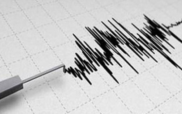 Japonya'da 6,6 büyüklüğünde deprem