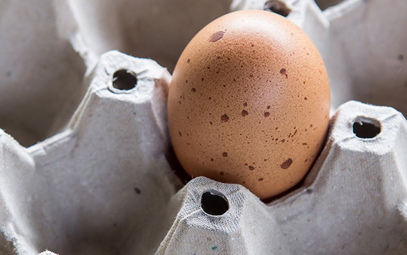 Hangi yumurta daha iyi? Köy yumurtası sağlıklı mı?