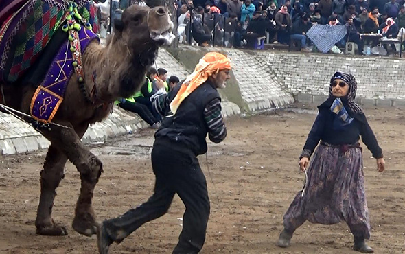 Herkes güreşi bıraktı: Onları izledi!