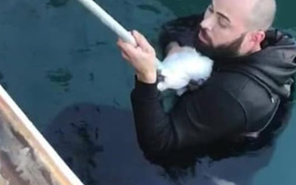 Yavru kediyi kurtarmak için buz gibi denize atladı