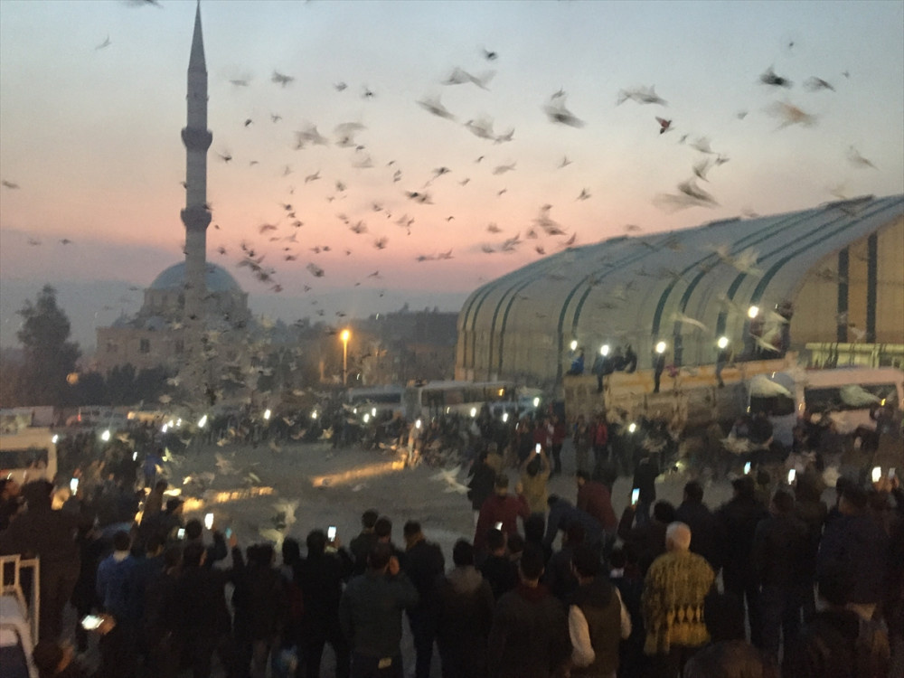 Şanlıurfa'da binlerce güvercin gökyüzüne bırakıldı