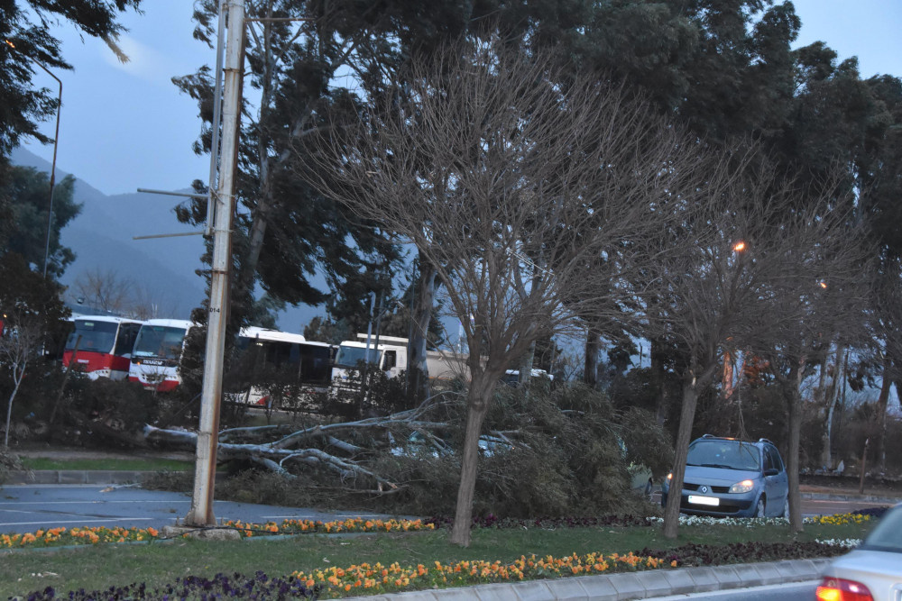 İzmir'de fırtına nedeniyle ağaçlar devrildi çatılar uçtu