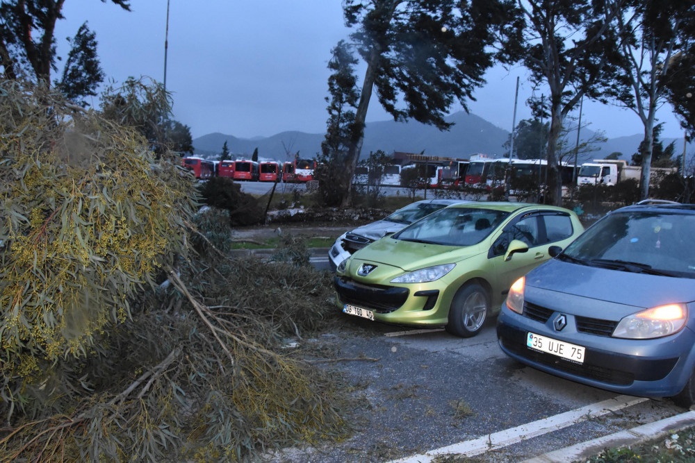 İzmir'de fırtına nedeniyle ağaçlar devrildi çatılar uçtu