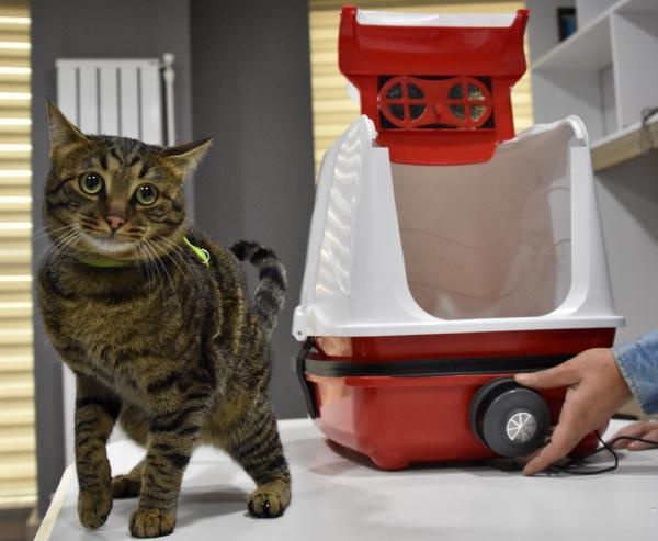 Kedi besleyenleri sevindiren haber kedilere özel filtreli tuvalet