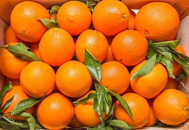 10 poşet getirene 1 kilo portakal bedava!