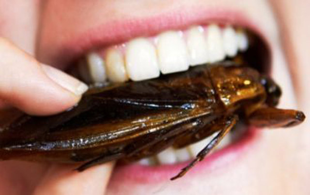 Açlıkla mücadele için çözüm böcek yemek mi? Şoke eden araştırma