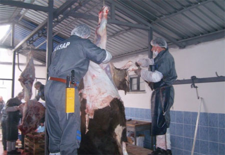 Kurban etiyle ilgili gerçekler