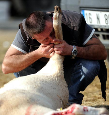 Kurban manzaraları