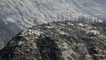 Endonezya'da deprem