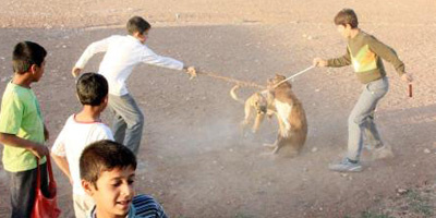 Çocukların vahşi oyunu kan dondurdu