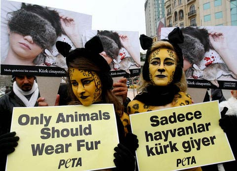 PETA kızları İstanbul'da