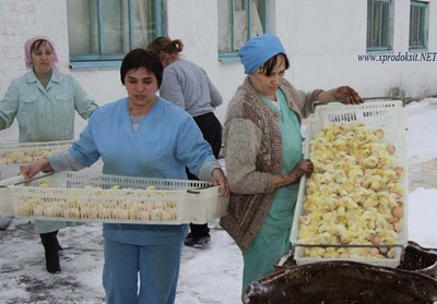 Rusya'da insanlık dışı görüntüler!