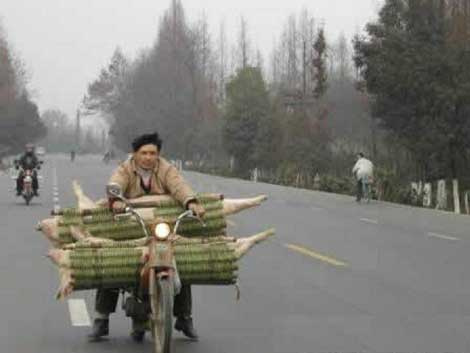 Bu fotoğraflar güldürüyor!