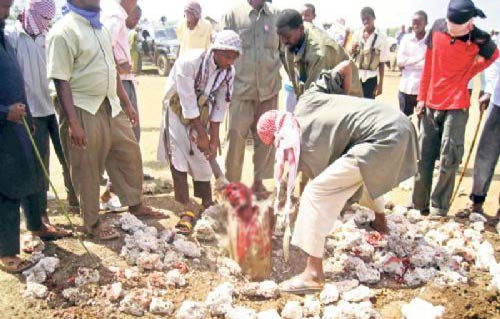 Somali'de recm kararı