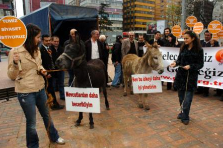 Eşekli protesto ile adaylığı kaptı