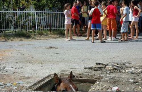 Tık rekoru kıran en bomba anlar!